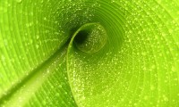 世界举重康复名师驻点教学月成果影像发布，世界举重冠军
