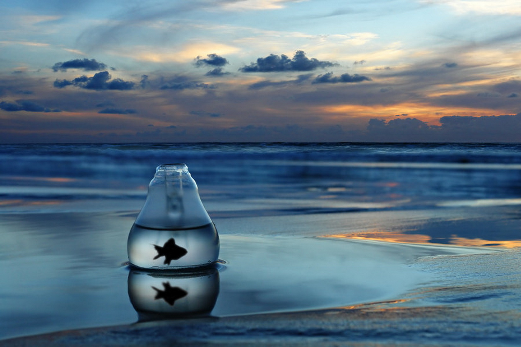 世界体操团体赛技术规则再度微调,世界体操大赛包括